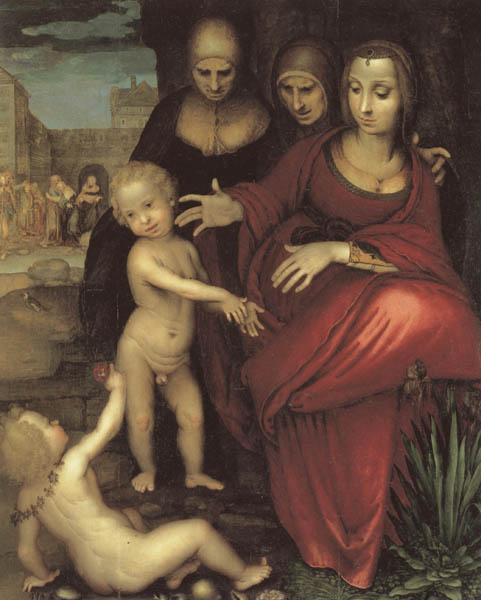 YANEZ DE LA ALMEDINA, Fernando St.Anne,the Virgin;St Elizabeth,St,john,and the Christ Child